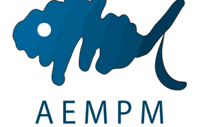EL PROCESO DE DIGITALIZACIÓN EN EL SISTEMA DE COBRANZA DE REMESAS EN EL MERCADO DE PESCADOS: TRANSPARENCIA, EFICACIA Y SOSTENIBILIDAD.