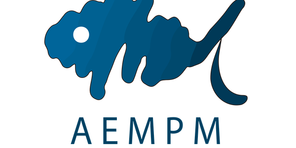 EL PROCESO DE DIGITALIZACIÓN EN EL SISTEMA DE COBRANZA DE REMESAS EN EL MERCADO DE PESCADOS: TRANSPARENCIA, EFICACIA Y SOSTENIBILIDAD.
