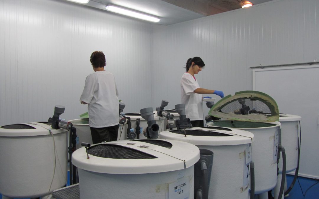 Centro de Investigacion Acuicola de Zamarramala – Segovia