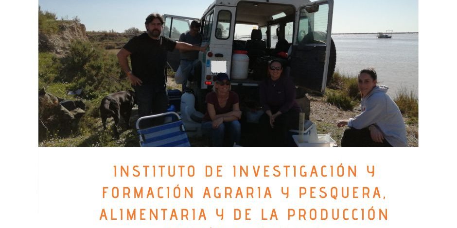 INSTITUTO DE INVESTIGACIÓN Y FORMACIÓN AGRARIA Y PESQUERA, ALIMENTARIA Y DE LA PRODUCCIÓN ECOLÓGICA (IFAPA)