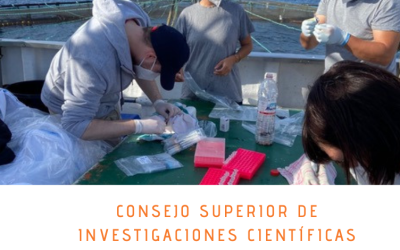 Consejo Superior de Investigaciones cientificas