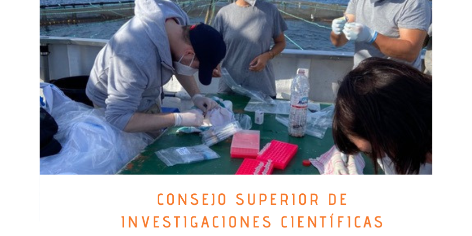 Consejo Superior de Investigaciones cientificas