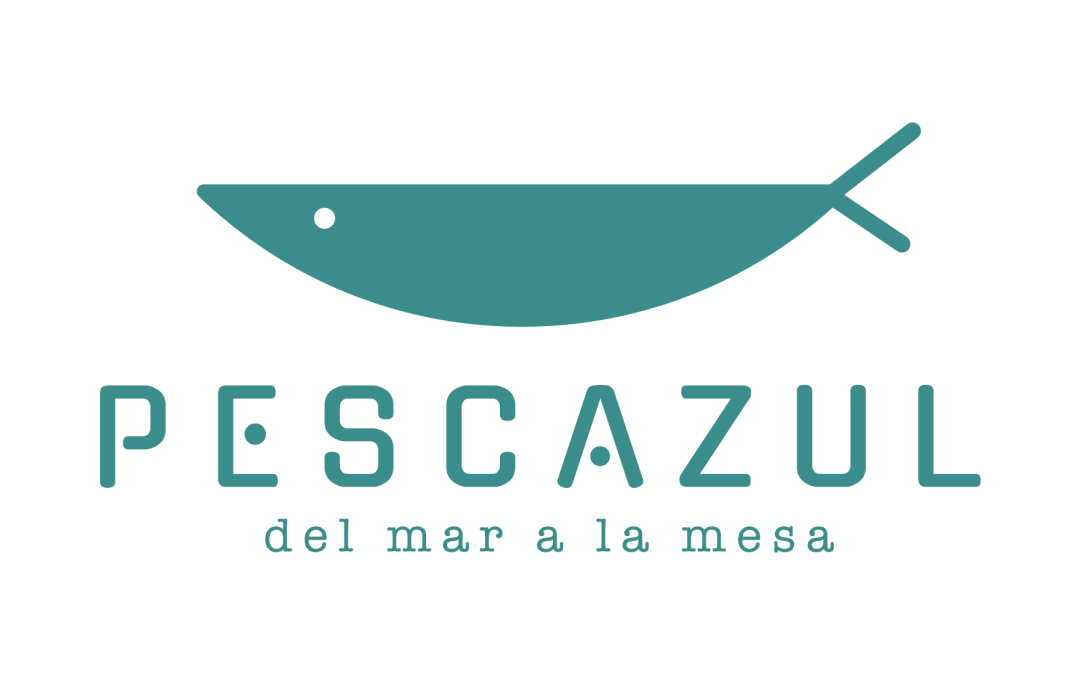 HABLEMOS SOBRE NUESTRO PROYECTO PESCAZUL