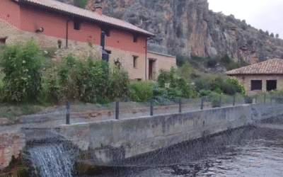 Reunión del GTT de Comercialización de PTEPA en la Piscifactoria de truchas de Vildé (Soria).