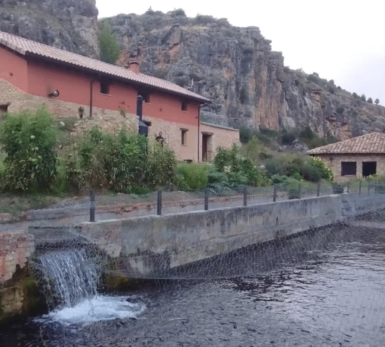 Reunión del GTT de Comercialización de PTEPA en la Piscifactoria de truchas de Vildé (Soria).