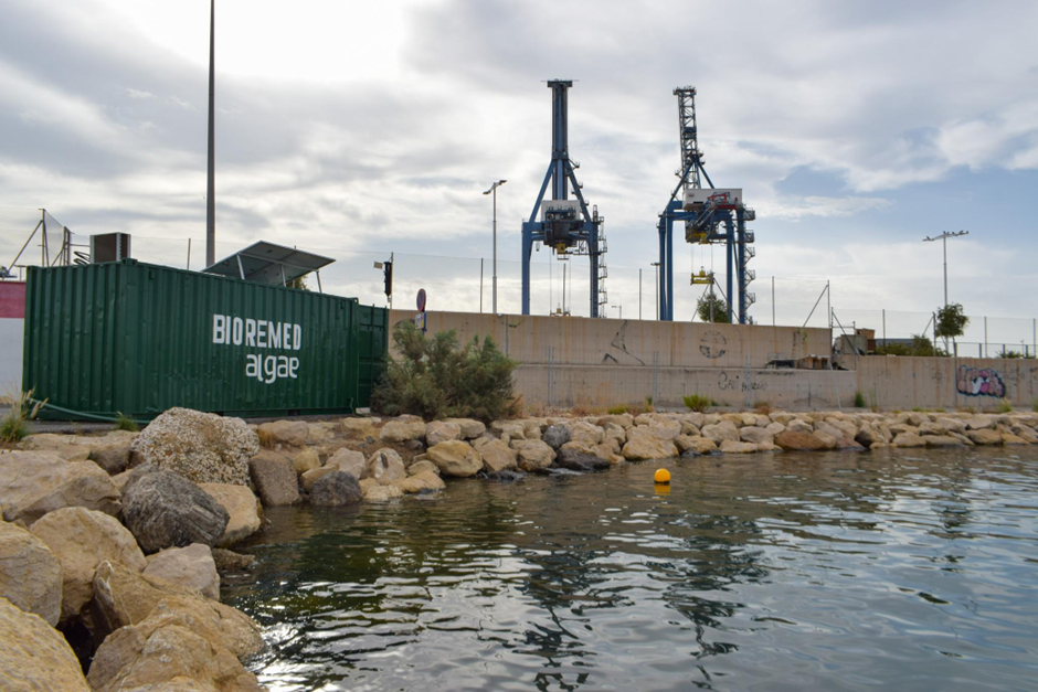 Mediterranean Algae escala su infraestructura ambiental tras captar más de 2 millones de euros de la Unión Europea
